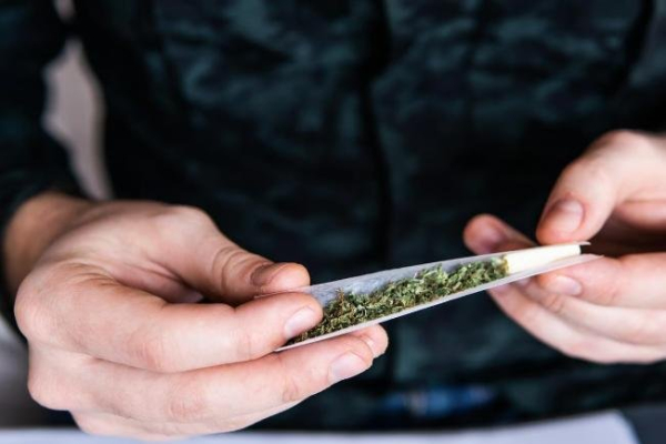 Marijuana users at greater risk for heart attack, stroke