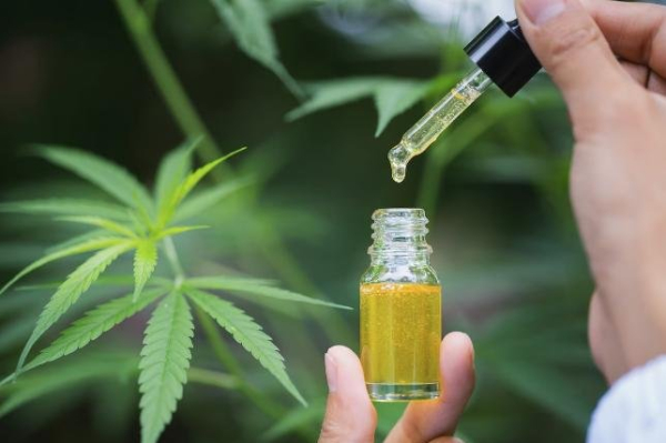 CBD could calm autistic children, teens, researchers report