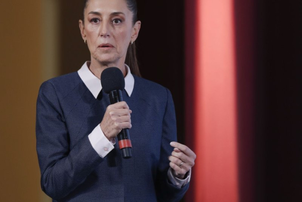 Mexico's Sheinbaum announces electoral reform aimed at cutting costs Mexico's Sheinbaum announces electoral reform aimed at cutting costs