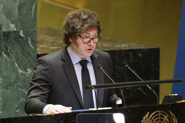 Milei eyes legislative win to push second wave of reforms