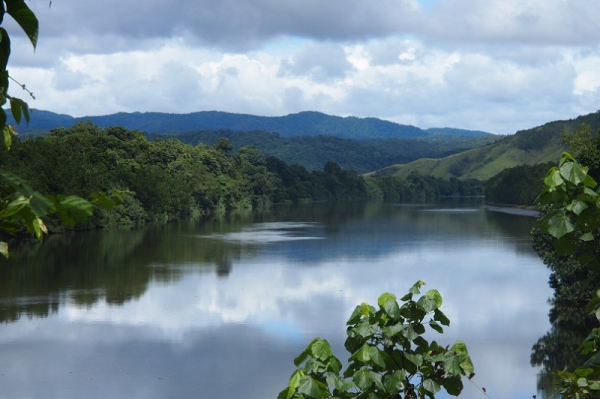 Gilmour Space launches Australian-made rocket