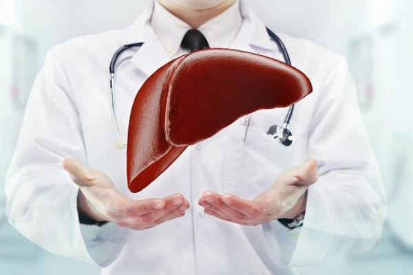 Most liver cancers are preventable, study says Most liver cancers are preventable, study says