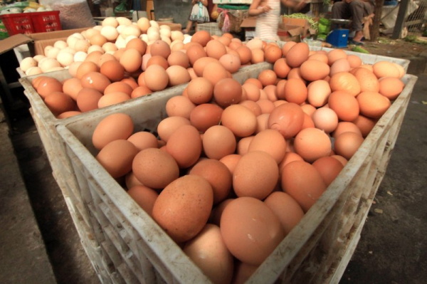 Egg recall linked to 18 hospitalizations