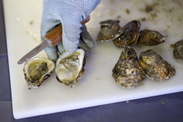 Flesh-eating bacteria from oysters kills two in Louisiana