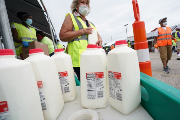 Florida health officials link 21 illness incidents to raw milk