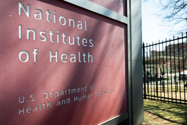 New NIH panel seeks to reduce 'preventable' stillbirths in U.S.