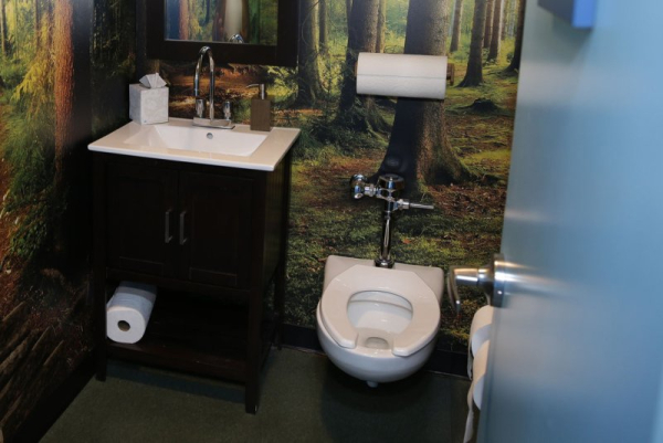 Women with bladder control issues see improvement with smartphone app