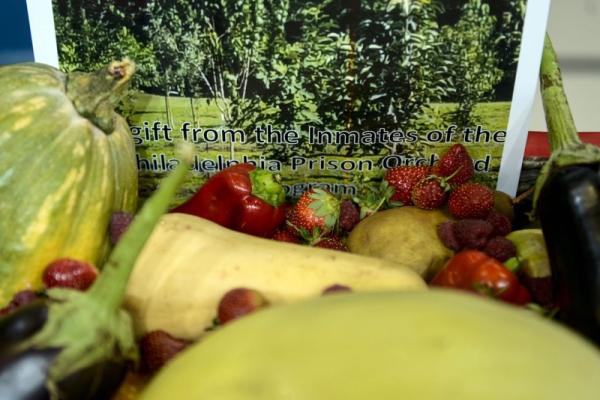 Study finds healthy habits have long-term effects for heart health