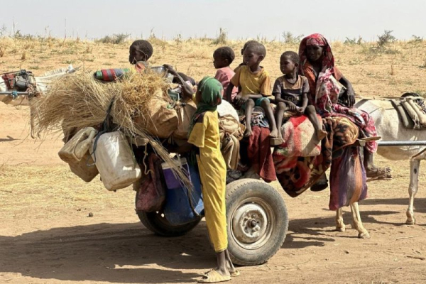 Sudanese 'executioners' arrested after El Fasher killings Sudanese 'executioners' arrested after El Fasher killings