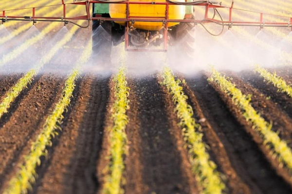 Research suggests pesticides are harmful to gut microbes