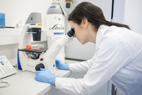 Researchers find unexpected bacteria deposits in brain tumors