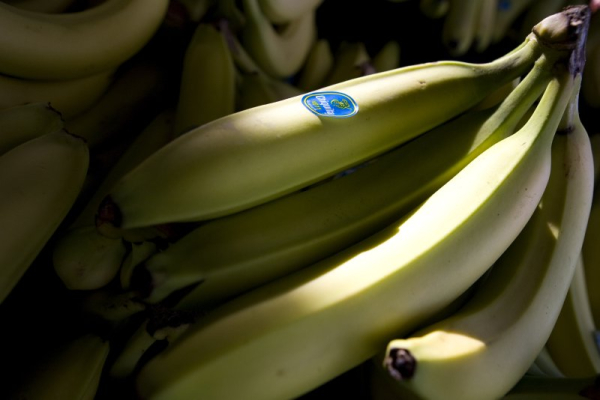 Skip the banana for a healthier smoothie, study says Skip the banana for a healthier smoothie, study says