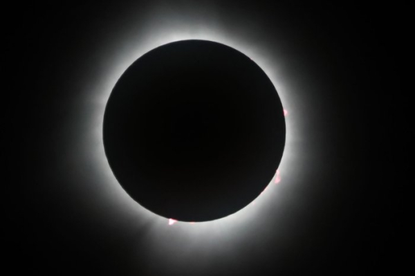 Airbus stock prices drop after software glitch on A320