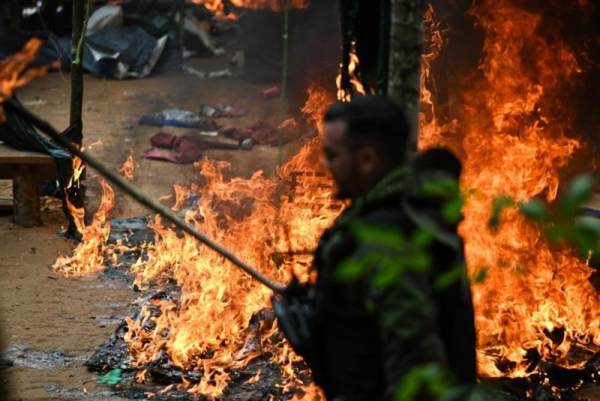 Illicit economies, organized crime worsen Amazon deforestation in 2025