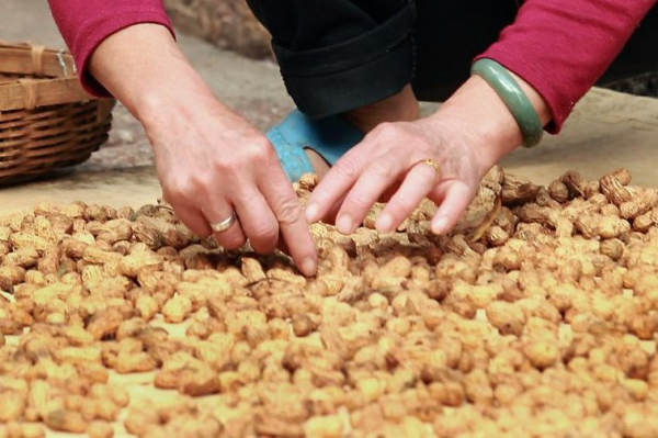 Milk from breastfeeding moms might be key to avoiding food allergies