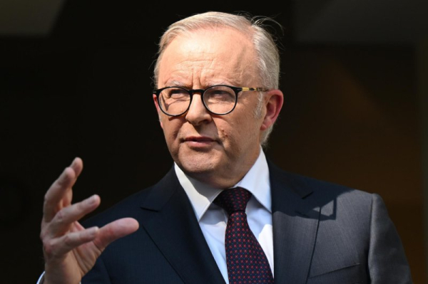 Albanese establishes national anti-Semitism commission following Bondi attack