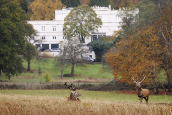 British police continue search of ex-Prince Andrew's former residence