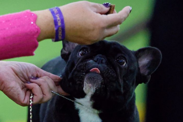 Norwegian princess' son arrested for assault just before rape trial Norwegian princess' son arrested for assault just before rape trial