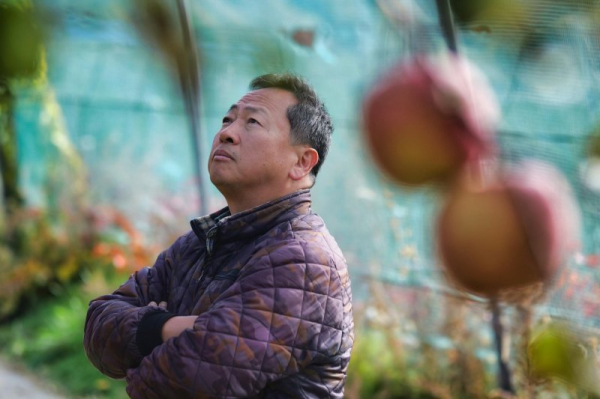 South Korean farmers sue utility giant KEPCO over climate damage to crops