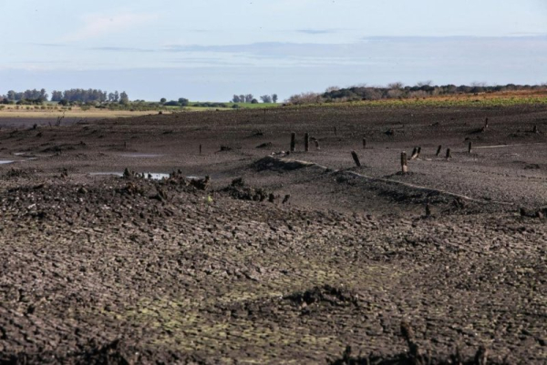 Uruguay declares drought, avian flu emergencies