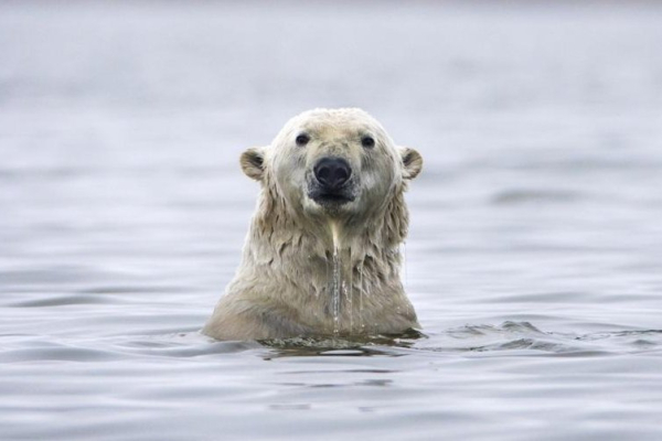 In a warming Arctic, U.S., China weigh rivalry against stewardship