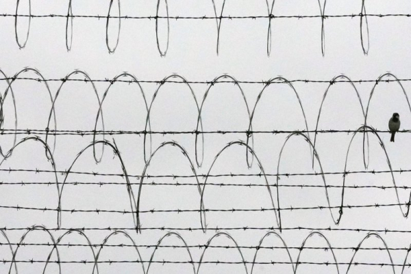 Man arrested after keeping nine-year-old son in locked van since 2024 Man arrested after keeping nine-year-old son in locked van since 2024