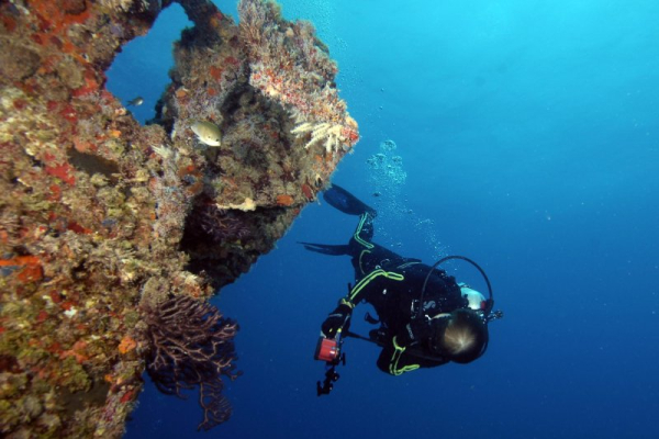 5 Italians from Genoa University killed in Maldives diving incident
