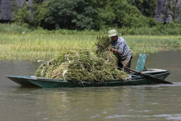 Vietnam's net-zero push tests limits of state-led climate governance Vietnam's net-zero push tests limits of state-led climate governance