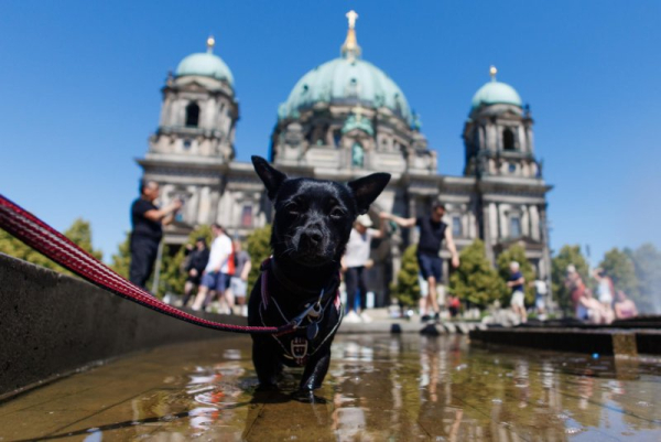 European nations break more records amid historic heat wave
