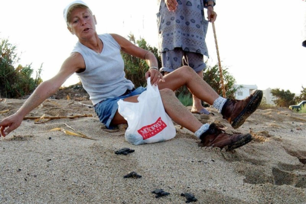 Mona Khalil, 76, sea turtle advocate, dies from Israeli attack Mona Khalil, 76, sea turtle advocate, dies from Israeli attack