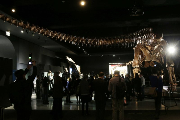 Scientists describe first dinosaur fossil found in Antarctica