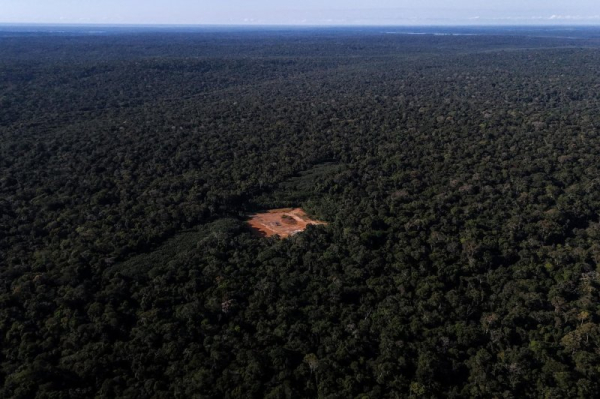 Amazon rainforest deforestation hits lowest level in a decade Amazon rainforest deforestation hits lowest level in a decade