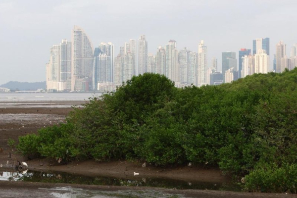 Panama named best country for expats for third straight year